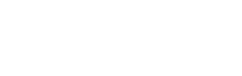 Config('color-settings.colorDefaultSettings.nomOrganisme')